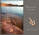 The Lost Tracks A Journey of Discovery