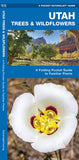 Pocket Naturalist Utah Trees and Wildflowers