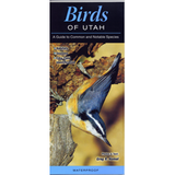 Birds of Utah: A Guide to Common and Notable Species