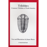 Trilobites Common Trilobites of North America