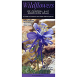 Wildflowers of Central and Southern Utah: A Guide to Common and Rare Native Species