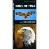 Pocket Naturalist Birds of Prey: A fold out guide