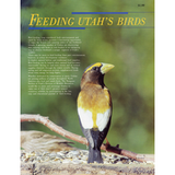 Feeding Utah's Birds