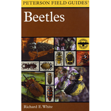 Peterson Field Guide to Beetles