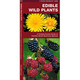 Pocket Naturalist Edible Wild Plants