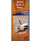 Duraguide: Animal Skulls and Bones