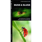 Pocket Naturalist Bugs & Slugs: A fold out guide