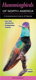 Hummingbirds of North America: A Comprehensive Guide to All Species