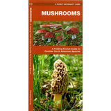 Pocket Naturalist Mushrooms: A fold out guide