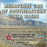 Mesaverde gas of southeastern Uinta Basin (OFR-460)