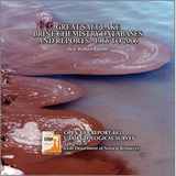 Great Salt Lake brine chemistry database and reports - 1966 to 2006 (OFR-485)