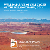 Well database of salt cycles of the Paradox Basin, Utah (OFR-581)