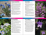 The Rocky Mountain Plant Guide