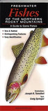 Freshwater Fishes of the Northern Rocky Mountains: A Guide to Game Fishes