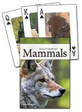 Southwest Mammals Playing Cards
