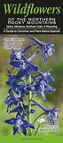 Wildflowers of the Northern Rocky Mountains: A Guide to Common and Rare Native Species