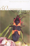 50 Common Insects of the Southwest