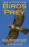 Identifying Birds Of Prey