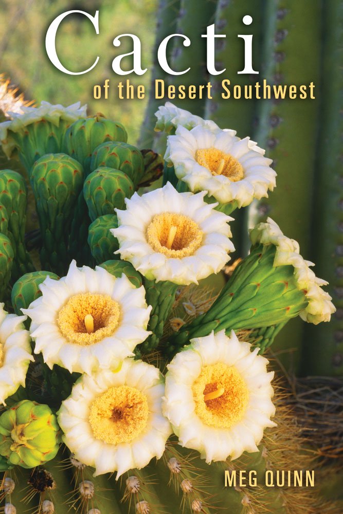 Cacti Of The Desert Southwest