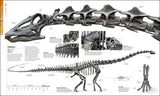 Dinosaurs and Prehistoric Life: The Definitive Visual Guide to Prehistoric Animals