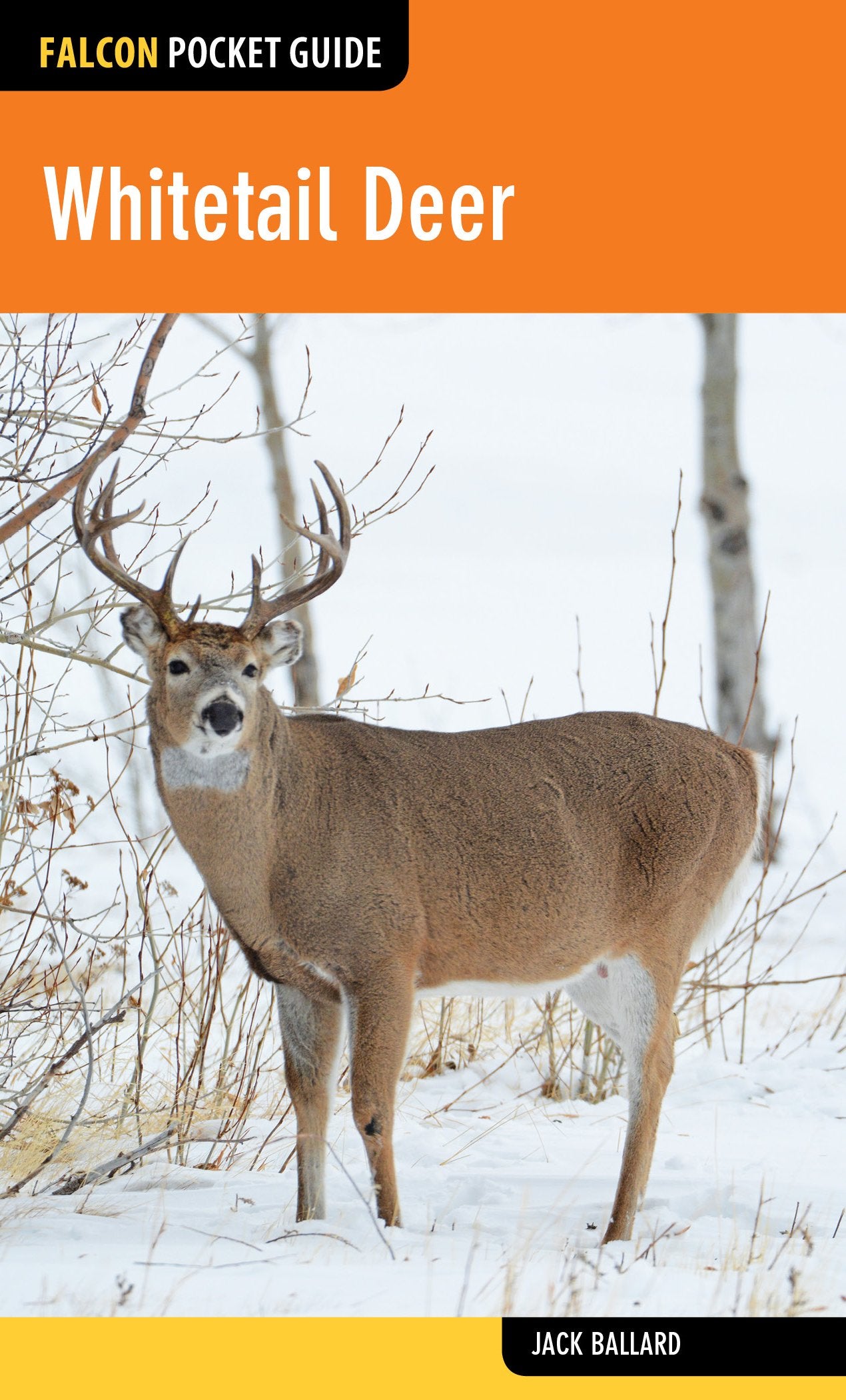 Bookstore　(Falcon　Whitetail　Deer　Natural　Pocket　–　Guides　Series)　Resources　Map