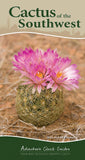 Cactus Of The Southwest