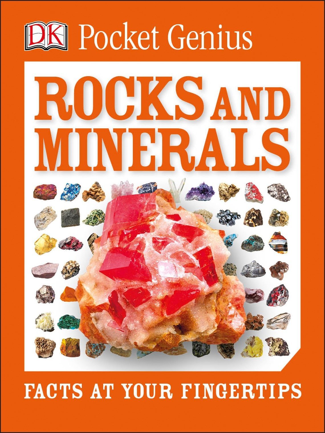 Pocket Genius: Rocks and Minerals: Facts at Your Fingertips