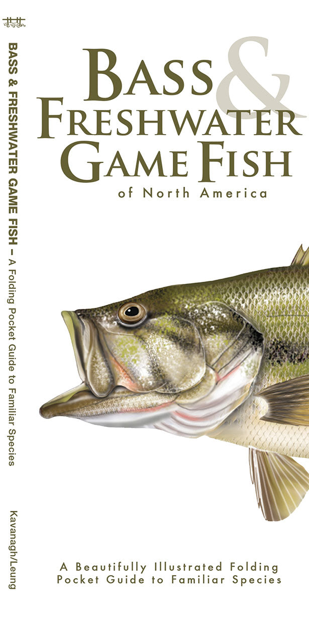 Bass & Freshwater Game Fish Of North America ID Card