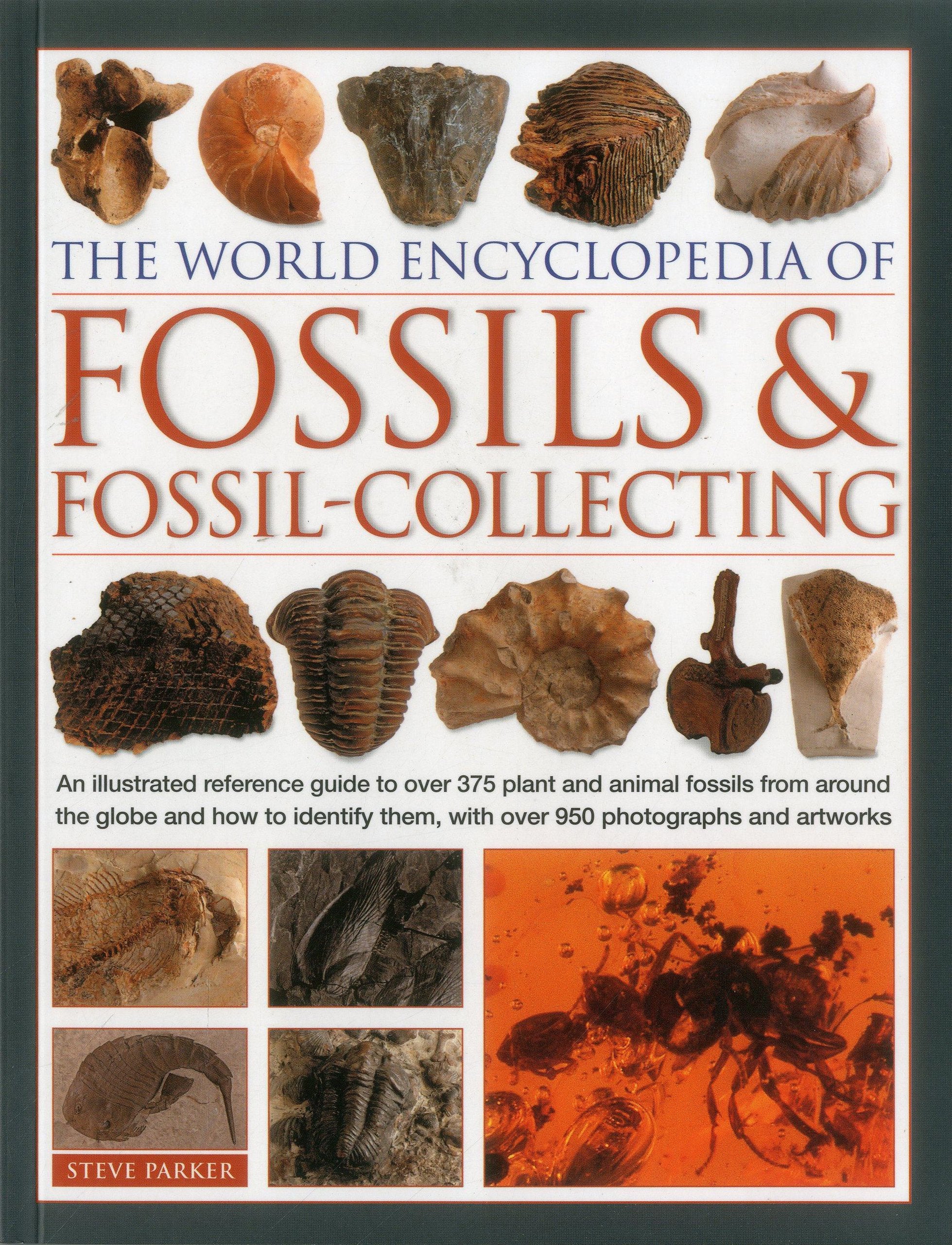 The World Encyclopedia of Fossils & Fossil-Collecting – Natural
