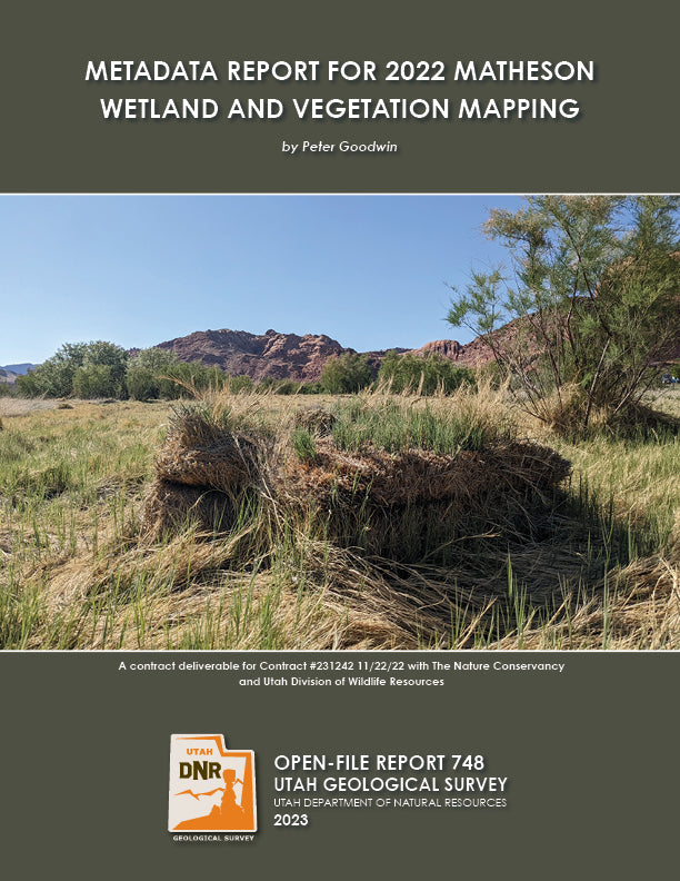 Report for 2022 Matheson Wetland and Vegetation Mapping (OFR-748)