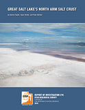 Great Salt Lake's North Arm Salt Crust (RI-276)