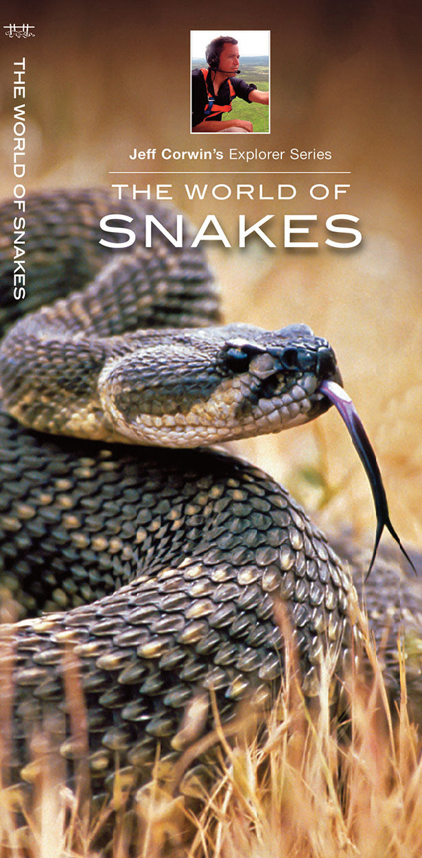 The World of Snakes