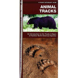 Animal Tracks: A Folding Pocket Guide to the Tracks & Signs of Familiar North American Species