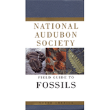 Audubon Field Guide to Fossils