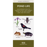 Pocket Naturalist Pond Life: A fold out guide