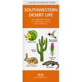 Pocket Naturalist Southwestern Desert Life: A fold out guide