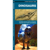 Pocket Naturalist Dinosaurs: A fold out guide