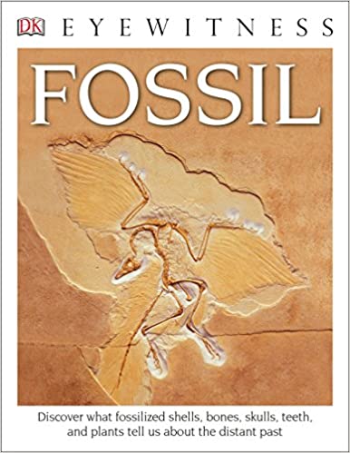 Fossil: DK Eyewitness