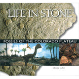 Life in Stone: Fossils of the Colorado Plateau