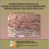 Hydrocarbon potential of Pennsylvanian black shale reservoirs, Paradox Basin, southeastern Utah (OFR-534 )