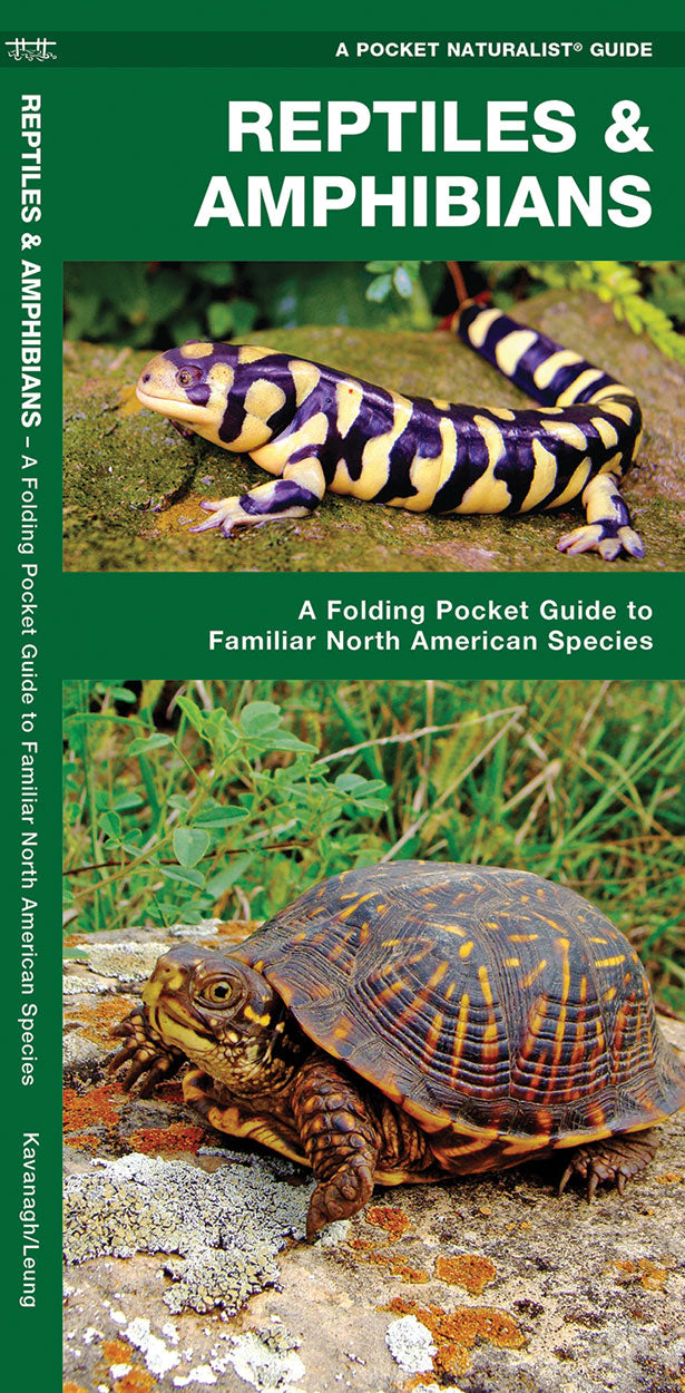Pocket Naturalist Reptiles & Amphibians: A fold out guide