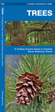 Pocket Naturalist Trees: A fold out guide