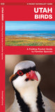 Pocket Naturalist Utah Birds: A fold out guide